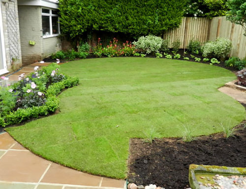 Rear Garden Transformation