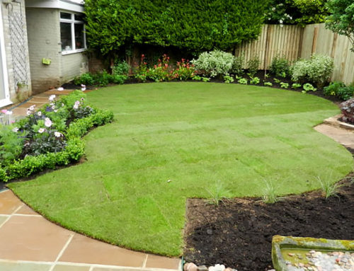 Rear Garden Transformation