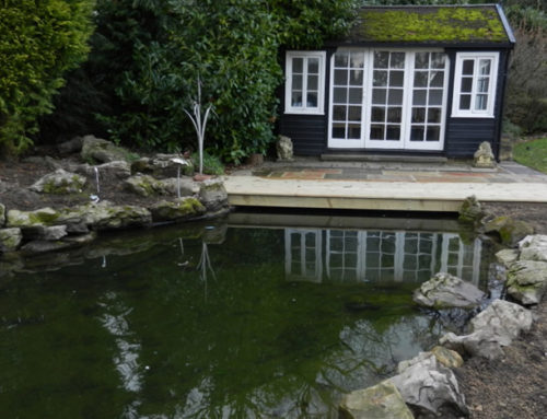 Large Pond and Waterfall