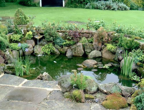 Oriental pool and water-fall