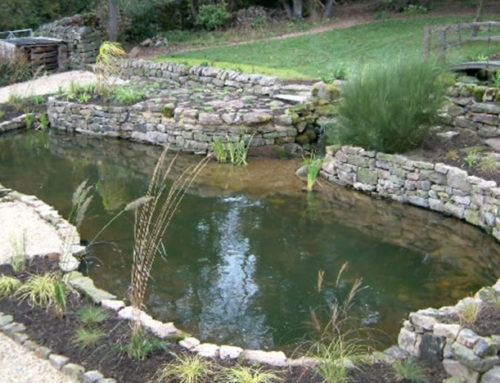 Large Natural Pond, Stream & Waterfalls