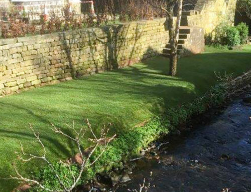 New Lawn to Back of House and Riverside