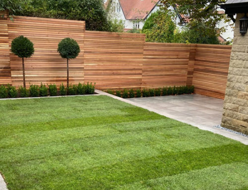 Contemporary Garden Harrogate